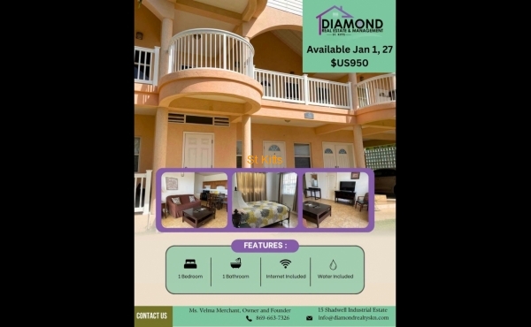 Diamond Real Estate